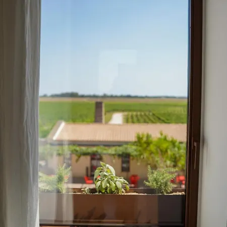 Emera Wine By Raro Couette-café Lizzano (Apulia)